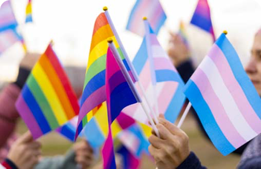 5.6% of Americans, over 11 million people, identify as LGBTQ+.<sup style=font-size:15px>28</sup>